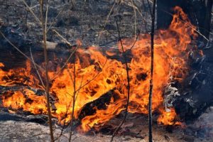 Fire Danger Period approaching