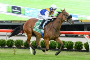 Dollar Chaser pays dividends for Bill