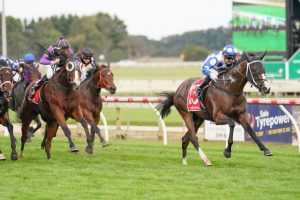 Sale shines with Good Friday racing