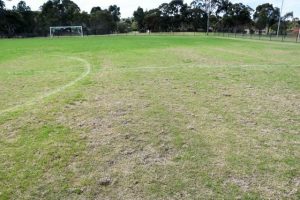 Council leaves club offside