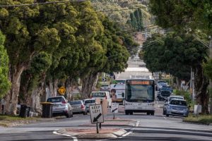 ‘Moonscape’ plan cut down