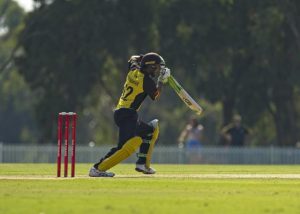 Perspective and persistence for Pednekar