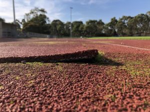 $2.5 m running repairs for Ross Reserve