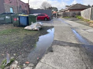 Laneway neglected, say businesses