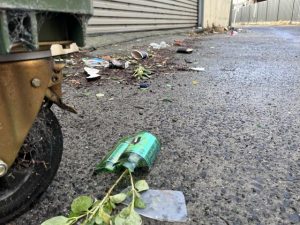 Issues plague laneway