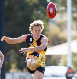 Stingrays on top in Tassie
