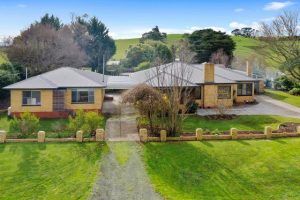 Two homes on 12.5 acres