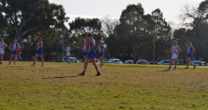 Big moments at Shepley