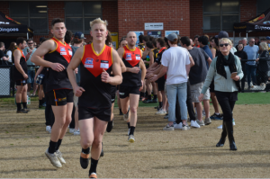 Dingoes on the march