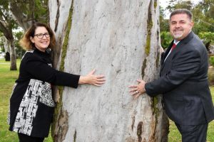 Trees for Dandenong
