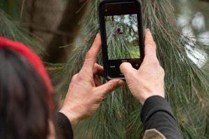 Snapshots of Nature