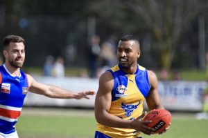 Bulls charge through to dance