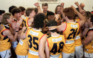 NAB League preview: Dandenong Stingrays v Sandringham