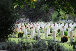 Cemetery trust appoints new CEO