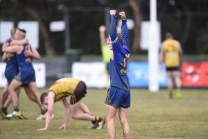 Premiership bull heads to Borough