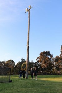 Waratah Reserve lights up