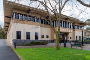 Accused hoon thief faces 300 charges