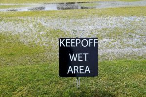 Wet Reedy frustrates