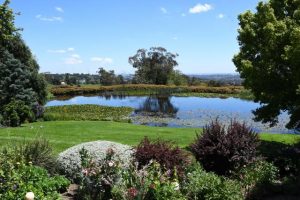 Tranquility in the Casey Foothills