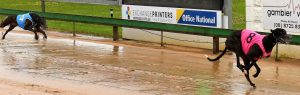 Cup Community Sweep – The Draw