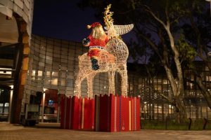 A safe Christmas Season