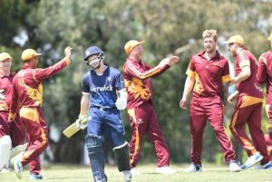 Lions let one slip against ladder leaders