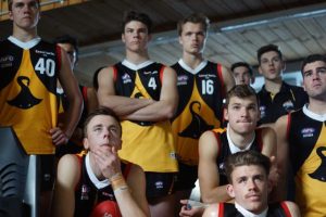 30 best Dandenong Stingrays