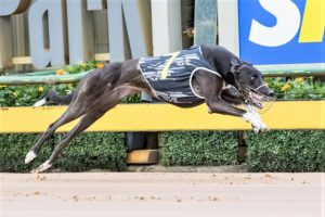 Zara Marnie destined for take off