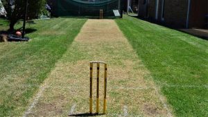 The Backyard XI