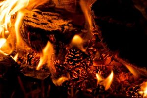 What to do in a fire
