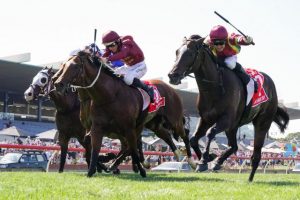 Judiciary joy for Jacquinot
