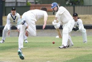 Swans fly, Panthers paws claw draw