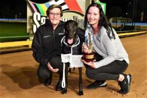 ‘Wow’ factor best at Sandown Park