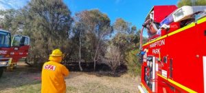 Police investigate ‘deliberate’ fires
