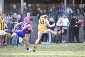 Hungry Hawks hunting for more