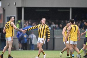Bulls, Hawks hold on