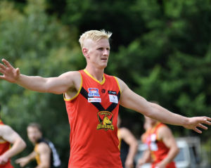 Dingley far too good for Springvale