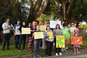 Tree law ‘loopholes’ debated