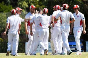 Exciting times in Casey Cardinia cricket