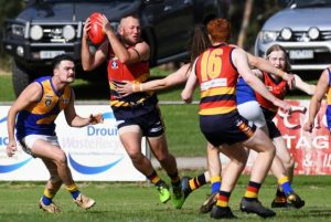 Lyrebirds lay it on the line