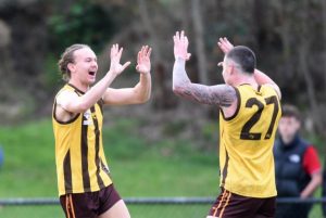 Hawks flying high while Berwick bears Balwyn brunt