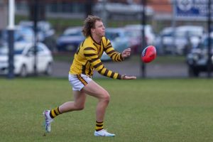 Hawks fly high in heavyweight battle
