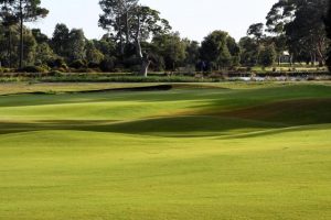 Greenies pitch for preserved greens