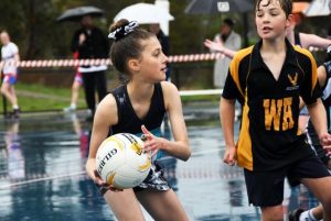 New netball comp to bridge the gap