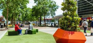 Celebrate spring in Dandenong