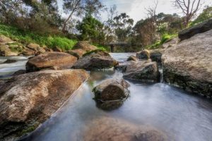 Police Paddocks future up for comment