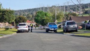 Boy injured after shots fired into Endeavour Hills home