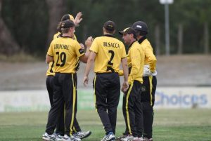 Get on with the cricket!