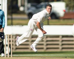 Siddle returns, Walllace stars for Swans