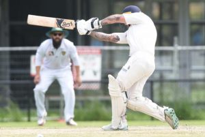 Bears hit back, blockbuster evenly poised